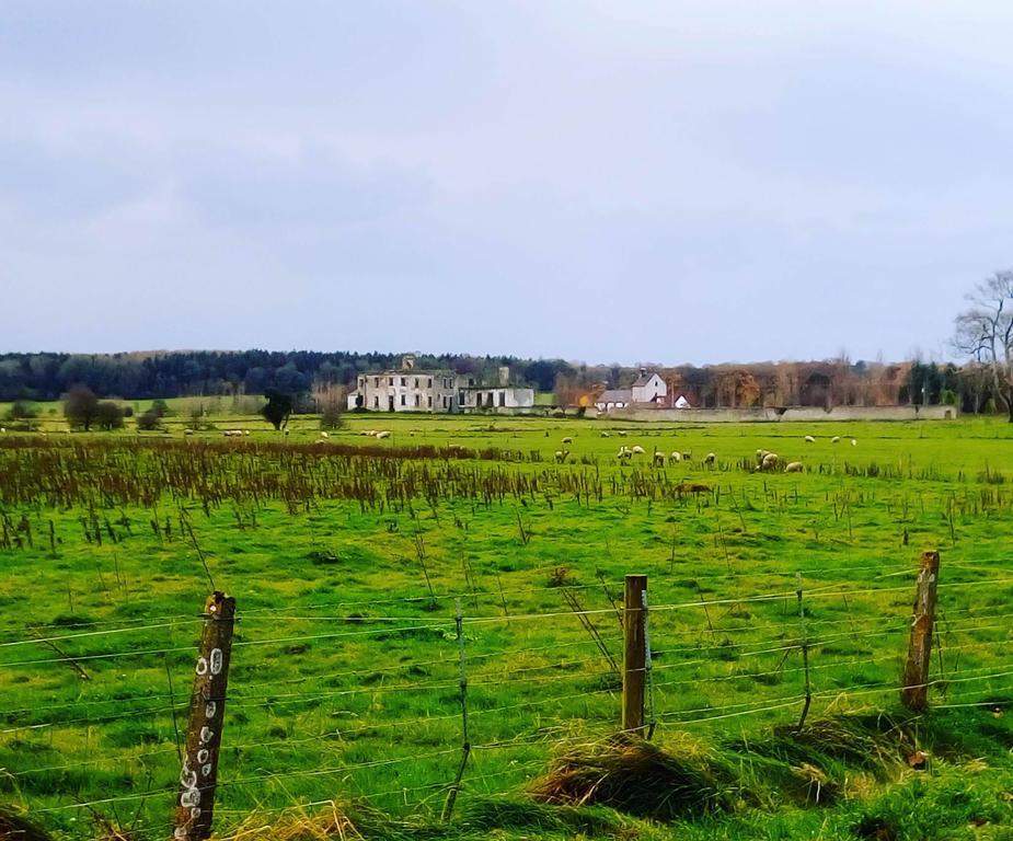 Galway Glamping Tuam Bagian luar foto