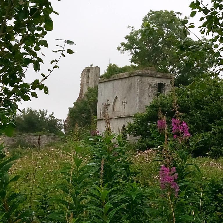 Galway Glamping Tuam Bagian luar foto