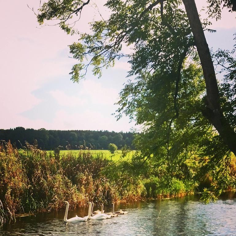 Galway Glamping Tuam Bagian luar foto