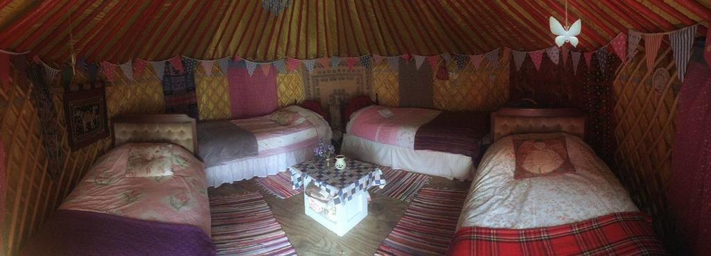 Galway Glamping Tuam Bagian luar foto
